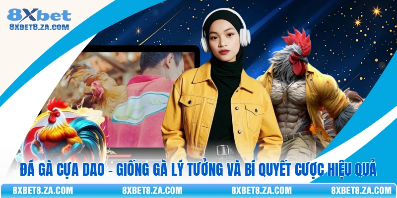 Đá Gà Cựa Dao - Giống Gà Lý Tưởng Và Bí Quyết Cược Hiệu Quả