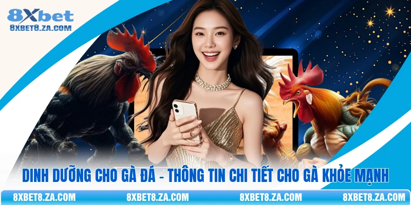 Dinh dưỡng cho gà đá - Thông tin chi tiết cho gà khỏe mạnh