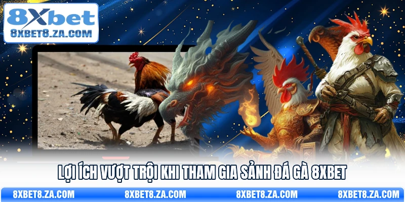 Lợi ích vượt trội khi tham gia sảnh đá gà 8Xbet