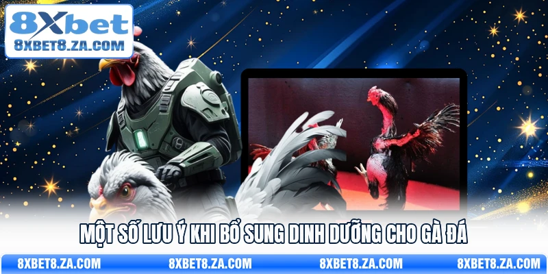 Một số lưu ý khi bổ sung dinh dưỡng cho gà đá